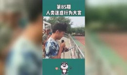 微笑爆料搞笑段子大全视频,微笑爆料搞笑段子，笑出腹肌的欢乐时光