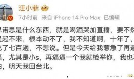 汪小菲微博爆料视频最新,揭秘背后惊人真相！