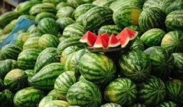 黑网料吃瓜网地址免费看完整版,免费观看完整版背后的秘密