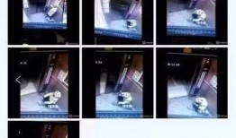 外卖最新爆料视频,揭秘幕后真相与行业变革
