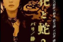 巴黎静子在线观看,在线观看，穿越时空的浪漫之旅