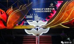 郑州奥运会爆料视频回放,精彩瞬间与幕后故事