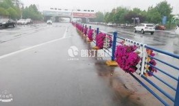 信阳工五路最新爆料,揭秘改造进展与周边变化