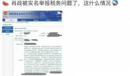娱乐圈虚假爆料揭秘,真相与谣言的较量