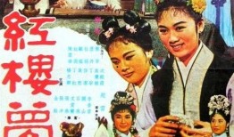绍氏红楼春梦在线观看,穿越时空的梦幻之旅