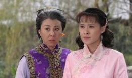 媳妇的眼泪电视剧全集在线观看,全集泪点回顾，感人至深的家庭情感之旅