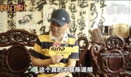娱乐大爆料杨子是谁,揭秘杨子背后的神秘故事