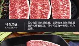 原切牛排爆料视频大全下载,揭秘顶级食材背后的故事