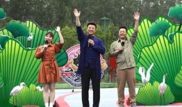 哈利克最新爆料视频大全,揭秘幕后真相与精彩瞬间