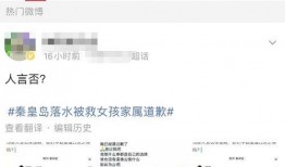 最新网传爆料消息视频播放,真相与疑云交织