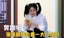爱豆吃瓜娱乐白鹿,爱豆吃瓜娱乐背后的故事