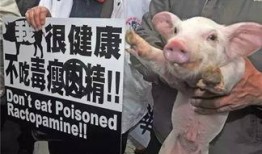小胖猪被爆料视频,揭秘视频背后的故事
