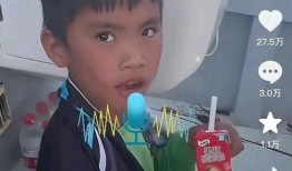 小孩哥爆料后续视频,揭秘事件真相与更多惊人内幕