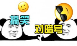 爆料笑话段子大全视频播放,笑料横生！揭秘爆料笑话段子大全视频播放背后的欢乐瞬间